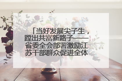 当好发展尖子生，蹚出共富新路子——省委全会部署激励江苏干部群众促进全体人民共同富裕