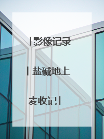 影像记录丨盐碱地上麦收记