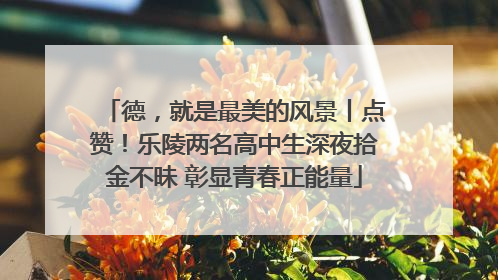 德,就是最美的风景丨点赞!乐陵两名高中生深夜拾金不昧 彰显青春正能量