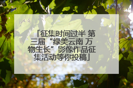征集时间过半 第三届“绿美云南 万物生长”影像作品征集活动等你投稿
