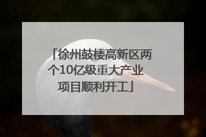 徐州鼓楼高新区两个10亿级重大产业项目顺利开工