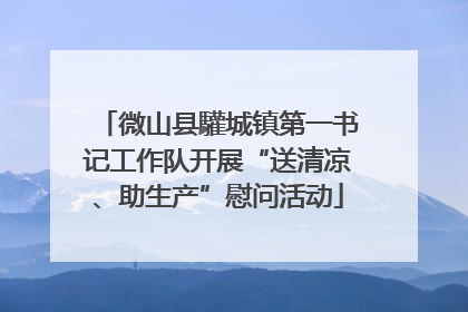 微山县驩城镇第一书记工作队开展“送清凉、助生产”慰问活动