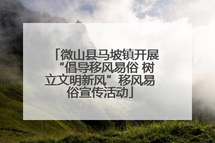 微山县马坡镇开展“倡导移风易俗 树立文明新风”移风易俗宣传活动