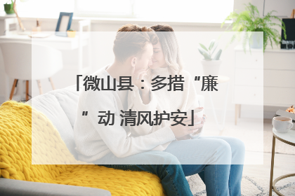 微山县：多措“廉”动 清风护安