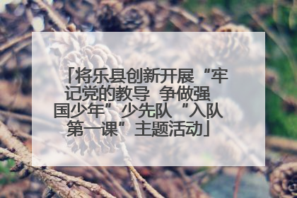 将乐县创新开展“牢记党的教导  争做强国少年”少先队“入队第一课”主题活动