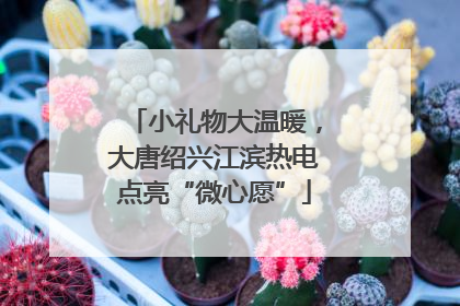 小礼物大温暖，大唐绍兴江滨热电点亮“微心愿”