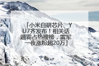 小米自研芯片、YU7齐发布！相关话题霸占热搜榜，雷军一夜涨粉超20万