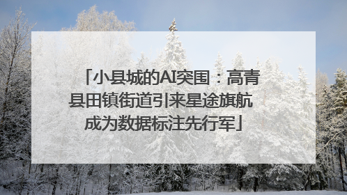 小县城的AI突围：高青县田镇街道引来星途旗航 成为数据标注先行军