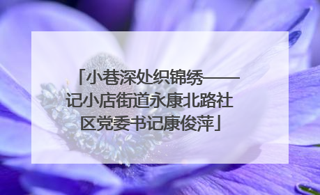 小巷深处织锦绣——记小店街道永康北路社区党委书记康俊萍