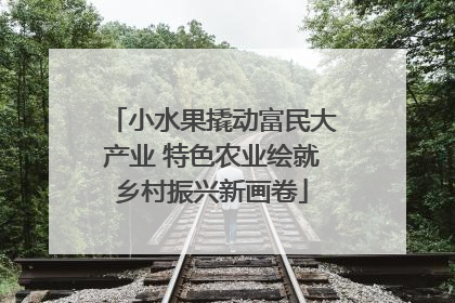 小水果撬动富民大产业 特色农业绘就乡村振兴新画卷