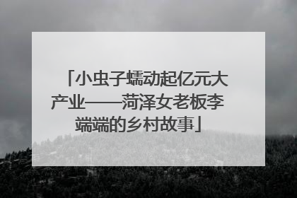 小虫子蠕动起亿元大产业——菏泽女老板李端端的乡村故事