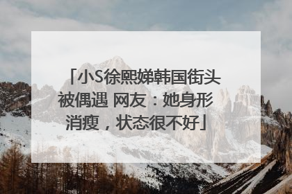 小S徐熙娣韩国街头被偶遇 网友：她身形消瘦，状态很不好