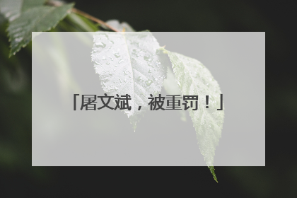 屠文斌，被重罚！