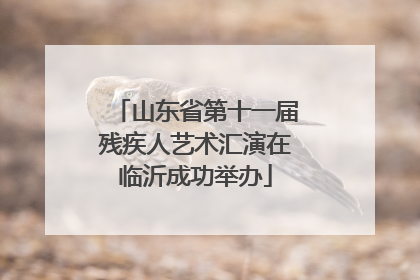 山东省第十一届残疾人艺术汇演在临沂成功举办