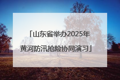 山东省举办2025年黄河防汛抢险协同演习
