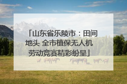 山东省乐陵市：田间地头 全市植保无人机劳动竞赛精彩纷呈