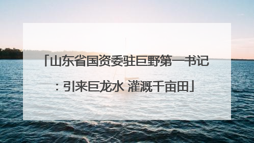 山东省国资委驻巨野第一书记：引来巨龙水 灌溉千亩田