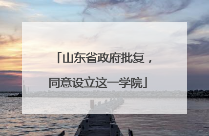 山东省政府批复，同意设立这一学院
