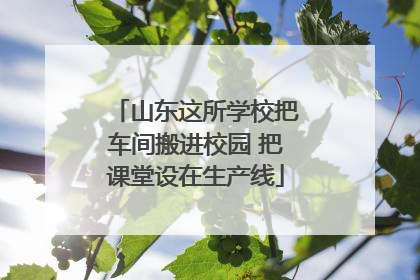 山东这所学校把车间搬进校园 把课堂设在生产线