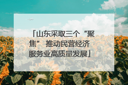 山东采取三个“聚焦” 推动民营经济服务业高质量发展