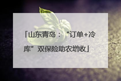 山东青岛：“订单+冷库”双保险助农增收