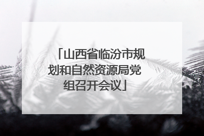 山西省临汾市规划和自然资源局党组召开会议