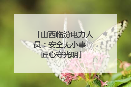 山西临汾电力人员：安全无小事 匠心守光明