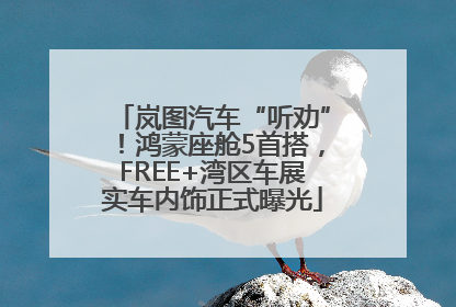 岚图汽车“听劝”！鸿蒙座舱5首搭，FREE+湾区车展实车内饰正式曝光