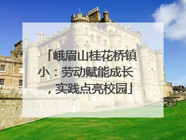 峨眉山桂花桥镇小：劳动赋能成长，实践点亮校园