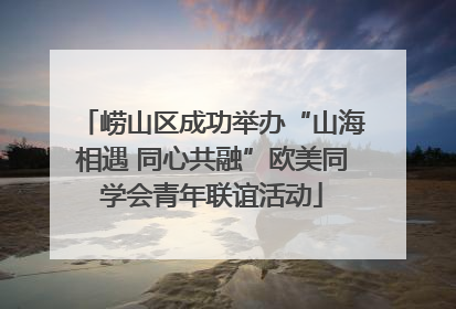崂山区成功举办“山海相遇 同心共融”欧美同学会青年联谊活动