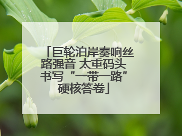 巨轮泊岸奏响丝路强音 太重码头书写“一带一路”硬核答卷