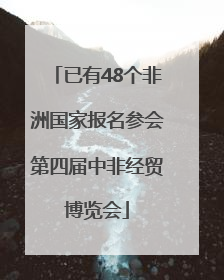 已有48个非洲国家报名参会第四届中非经贸博览会