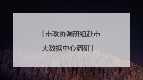 市政协调研组赴市大数据中心调研
