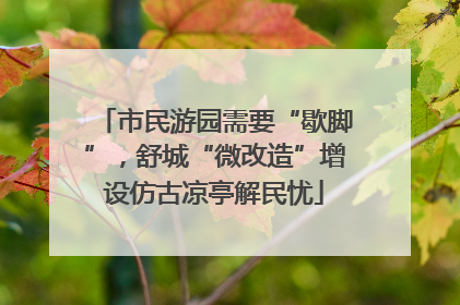 市民游园需要“歇脚”，舒城“微改造”增设仿古凉亭解民忧