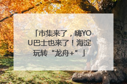 市集来了，嗨YOU巴士也来了！海淀玩转“龙舟+”