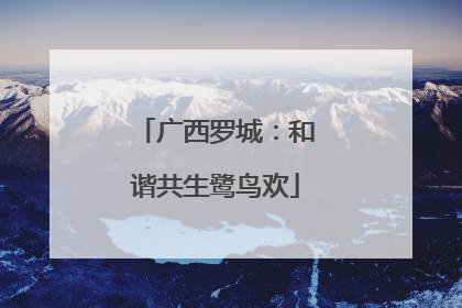 广西罗城：和谐共生鹭鸟欢