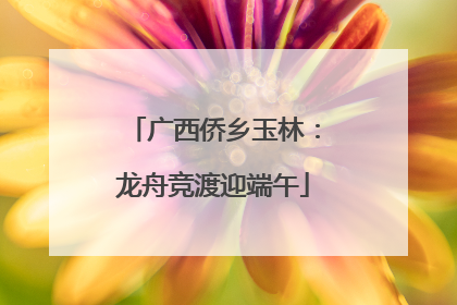 广西侨乡玉林：龙舟竞渡迎端午
