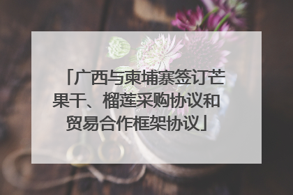 广西与柬埔寨签订芒果干、榴莲采购协议和贸易合作框架协议