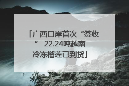 广西口岸首次“签收” 22.24吨越南冷冻榴莲已到货