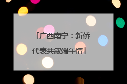 广西南宁：新侨代表共叙端午情