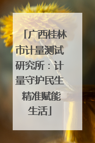 广西桂林市计量测试研究所：计量守护民生 精准赋能生活