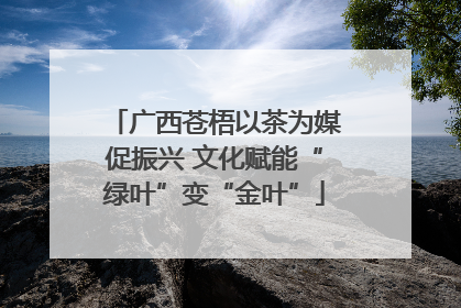 广西苍梧以茶为媒促振兴 文化赋能“绿叶”变“金叶”
