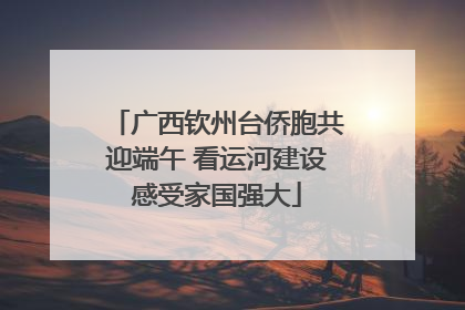 广西钦州台侨胞共迎端午 看运河建设感受家国强大