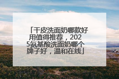 干皮洗面奶哪款好用值得推荐，2025氨基酸洗面奶哪个牌子好，温和在线