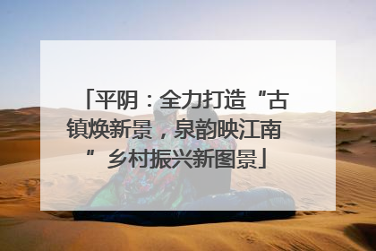 平阴：全力打造“古镇焕新景，泉韵映江南”乡村振兴新图景