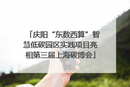 庆阳“东数西算”智慧低碳园区实践项目亮相第三届上海碳博会