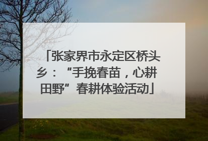 张家界市永定区桥头乡：“手挽春苗，心耕田野”春耕体验活动