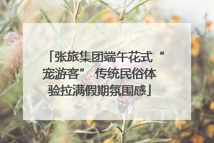 张旅集团端午花式“宠游客” 传统民俗体验拉满假期氛围感