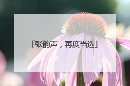 张韵声，再度当选