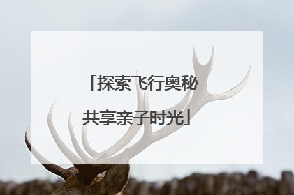 探索飞行奥秘 共享亲子时光